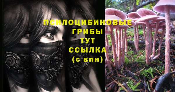 кокаин премиум Осинники