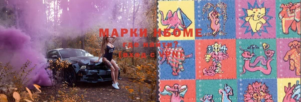 хмурый Осташков
