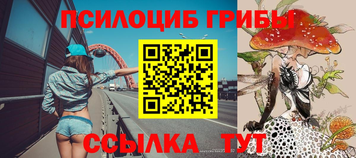 Галлюциногенные грибы MAGIC MUSHROOMS Азнакаево