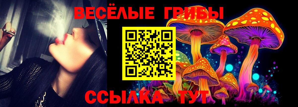 Галлюциногенные грибы мицелий  Псилоцибиновые грибы Psilocybine cubensis  Азнакаево  Вход с VPN 